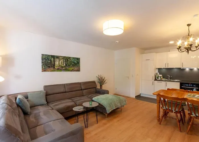 Bergtraeumchen Mit Sauna Und Balkon Daire Braunlage