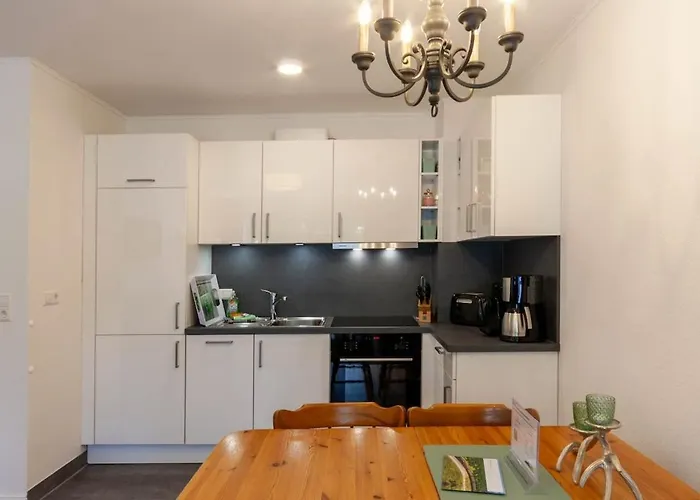 Bergtraeumchen Mit Sauna Und Balkon Daire Braunlage