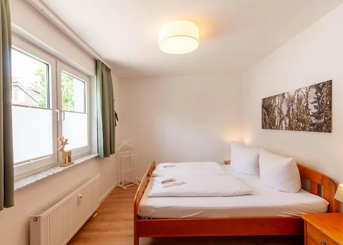 Bergtraeumchen Mit Sauna Und Balkon Daire Braunlage